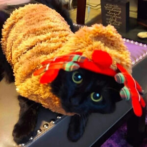 PET Rudolph Red Nosed Reindeer Costume